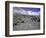 A Heard of Yaks and Tents, Nepal-Michael Brown-Framed Photographic Print