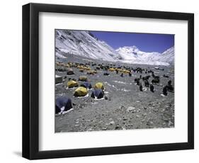 A Heard of Yaks and Tents, Nepal-Michael Brown-Framed Photographic Print