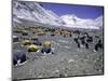 A Heard of Yaks and Tents, Nepal-Michael Brown-Mounted Photographic Print