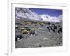 A Heard of Yaks and Tents, Nepal-Michael Brown-Framed Photographic Print