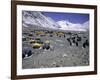 A Heard of Yaks and Tents, Nepal-Michael Brown-Framed Photographic Print