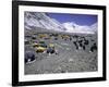 A Heard of Yaks and Tents, Nepal-Michael Brown-Framed Photographic Print