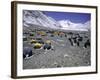 A Heard of Yaks and Tents, Nepal-Michael Brown-Framed Photographic Print