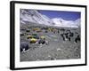A Heard of Yaks and Tents, Nepal-Michael Brown-Framed Photographic Print