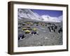 A Heard of Yaks and Tents, Nepal-Michael Brown-Framed Photographic Print