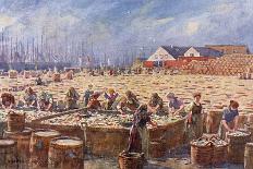 Herring Harvest,Yarmouth-A Heaton Cooper-Stretched Canvas