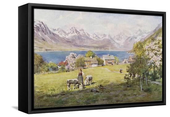 Stretched Canvas Print, , large