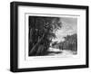 A Hedge of Arborescent Cactus, Mexico, 19th Century-Alexandre De Bar-Framed Giclee Print