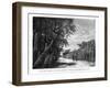 A Hedge of Arborescent Cactus, Mexico, 19th Century-Alexandre De Bar-Framed Giclee Print