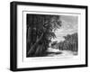 A Hedge of Arborescent Cactus, Mexico, 19th Century-Alexandre De Bar-Framed Giclee Print