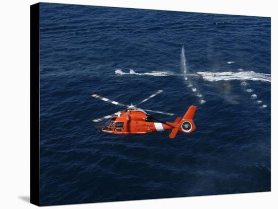 A Helicopter Crew Trains Off the Coast of Jacksonville, Florida-Stocktrek Images-Stretched Canvas