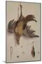 A Hen and a Kingfisher Hanging on a String (Oil on Canvas)-Jacobus Biltius-Mounted Giclee Print