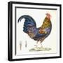 A Hen, Plate 232, from 'Nouveau Recueil De Planches Coloriees D'Oiseaux', 1820-1839-null-Framed Giclee Print