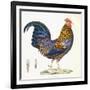 A Hen, Plate 232, from 'Nouveau Recueil De Planches Coloriees D'Oiseaux', 1820-1839-null-Framed Giclee Print