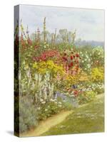 A Herbaceous Border-Helen Allingham-Stretched Canvas