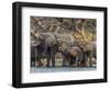 A herd of African bush elephants (Loxodonta africana) on the upper Zambezi River, Zambia-Michael Nolan-Framed Photographic Print