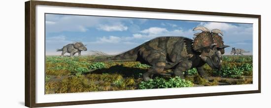 A Herd of Albertaceratops from the Cretaceous Period-null-Framed Premium Giclee Print