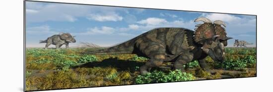 A Herd of Albertaceratops from the Cretaceous Period-null-Mounted Art Print