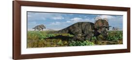A Herd of Albertaceratops from the Cretaceous Period-null-Framed Art Print