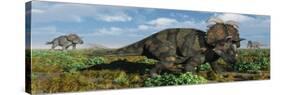 A Herd of Albertaceratops from the Cretaceous Period-null-Stretched Canvas