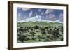 A Herd of Albertaceratops Grazing-null-Framed Premium Giclee Print