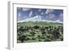 A Herd of Albertaceratops Grazing-null-Framed Premium Giclee Print