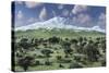 A Herd of Albertaceratops Grazing-null-Stretched Canvas