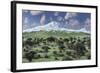 A Herd of Albertaceratops Grazing-null-Framed Art Print