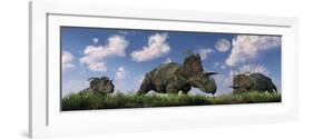 A Herd of Albertaceratops Grazing-null-Framed Art Print