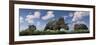 A Herd of Albertaceratops Grazing-null-Framed Premium Giclee Print