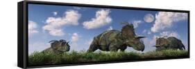 A Herd of Albertaceratops Grazing-null-Framed Stretched Canvas