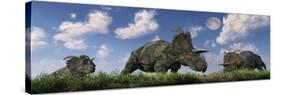 A Herd of Albertaceratops Grazing-null-Stretched Canvas