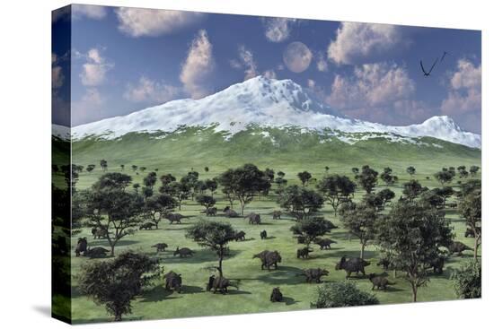 Stretched Canvas Print, , large