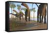 A Herd of Apatosaurus Dinosaurs-null-Framed Stretched Canvas