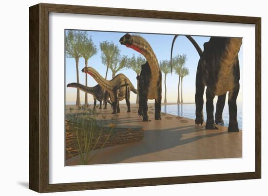 A Herd of Apatosaurus Dinosaurs-null-Framed Art Print