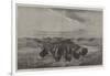 A Herd of Bisons Crossing a River Bottom on the Upper Missouri-William Jacob Hays-Framed Giclee Print