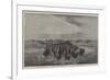 A Herd of Bisons Crossing a River Bottom on the Upper Missouri-William Jacob Hays-Framed Giclee Print