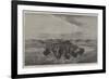 A Herd of Bisons Crossing a River Bottom on the Upper Missouri-William Jacob Hays-Framed Giclee Print