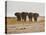 A Herd of Bull Elephants in Etosha National Park-Alex Saberi-Stretched Canvas