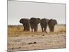 A Herd of Bull Elephants in Etosha National Park-Alex Saberi-Mounted Photographic Print