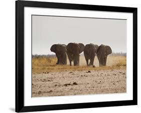 A Herd of Bull Elephants in Etosha National Park-Alex Saberi-Framed Photographic Print