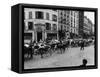 A Herd of Cattle is Driven Along a Paris Streen-null-Framed Stretched Canvas