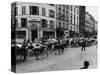 A Herd of Cattle is Driven Along a Paris Streen-null-Stretched Canvas