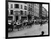A Herd of Cattle is Driven Along a Paris Streen-null-Framed Photographic Print
