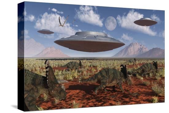 Stretched Canvas Print, , large