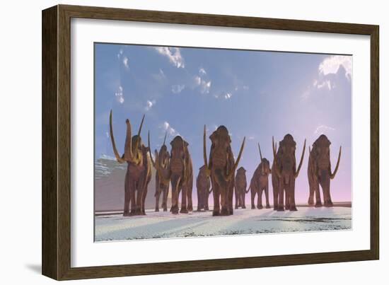 A Herd of Columbian Mammoths Migrate to a Warmer Climate-Stocktrek Images-Framed Art Print