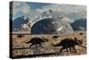 A Herd of Dinosaurs Walk Past a Flying Saucer Lodged into the Ground-null-Stretched Canvas