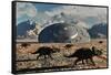 A Herd of Dinosaurs Walk Past a Flying Saucer Lodged into the Ground-null-Framed Stretched Canvas