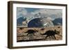 A Herd of Dinosaurs Walk Past a Flying Saucer Lodged into the Ground-null-Framed Premium Giclee Print