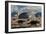 A Herd of Dinosaurs Walk Past a Flying Saucer Lodged into the Ground-null-Framed Premium Giclee Print